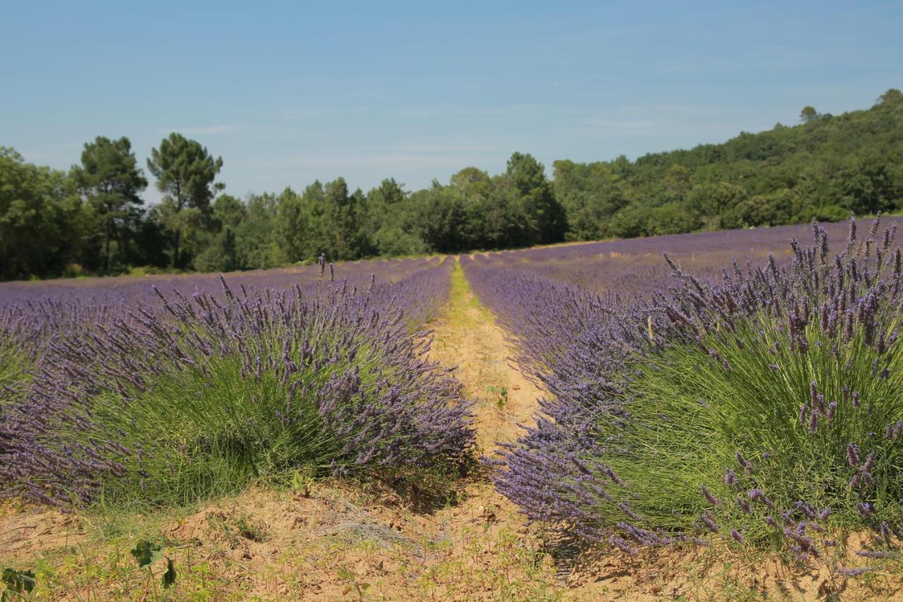 Les Yourtes De Provence Bed and Breakfast Saint-Paulet-de-Caisson Buitenkant foto